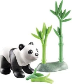 PLAYMOBIL® 71072 Wiltopia - Junger Panda -Playmobil Shop 25663896 04