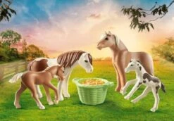PLAYMOBIL® Country - 2 Island Ponys Mit Fohlen 8 PLAYMOBIL® Country - 2 Island Ponys Mit Fohlen -Playmobil Shop 43274171 7 2 4008789710000 1280x1280